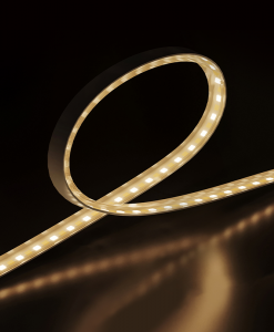 S21 低壓雙色溫燈帶-10M